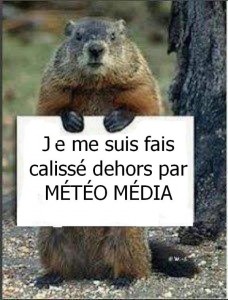 Humour Marmotte