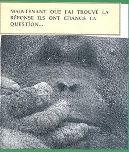 Gorille0001