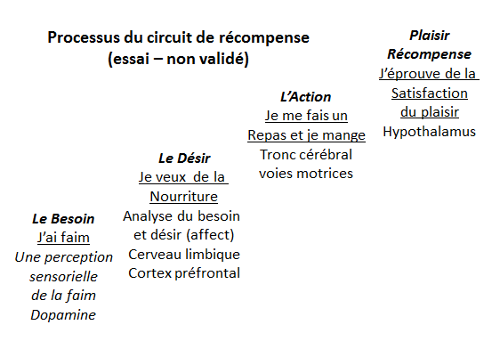 La motivation de nos comportements et le Circuit de récompense – une ...
